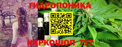jwh Белореченск