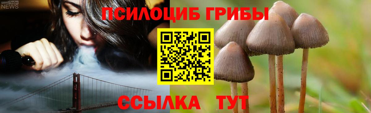 Псилоцибиновые грибы Magic Shrooms Воткинск